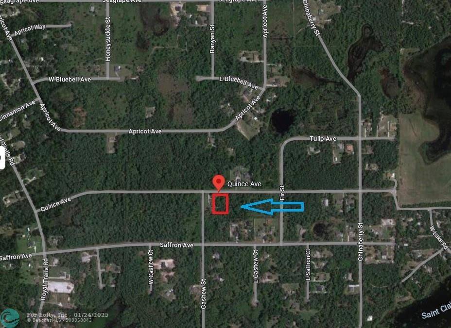 Eustis, FL 32736,000 Quincy Ave