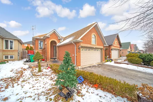 Brampton, ON L6X 4L1,85 Springview DR