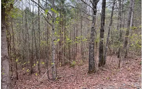 Murphy, NC 28906,LT 54 Choctaw Ridge Trail