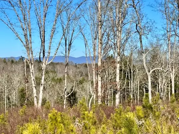 LOT 4 High River, Ellijay, GA 30540