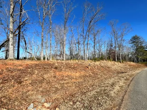 Ellijay, GA 30540,LOT 4 High River