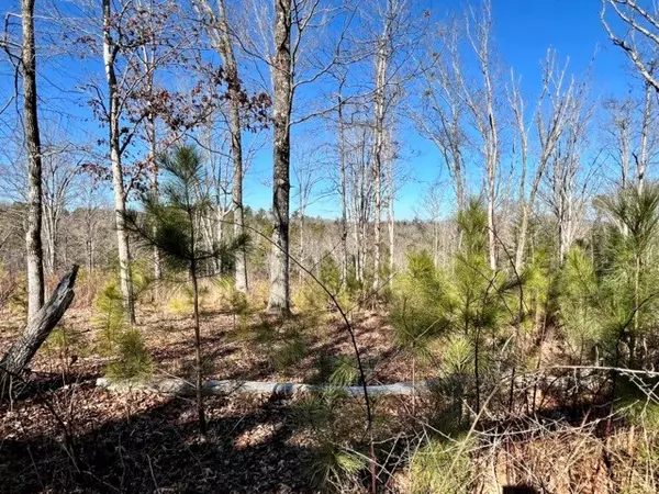 Ellijay, GA 30540,LOT 4 High River