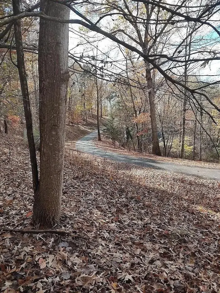 136 High Point Rd, Moneta, VA 24121