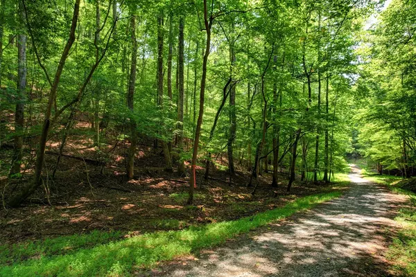 Ellijay, GA 30540,Lot 1972 Nancy Court