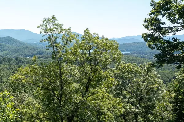 Lot 6 Hidden Forest Lane, Hayesville, NC 28904