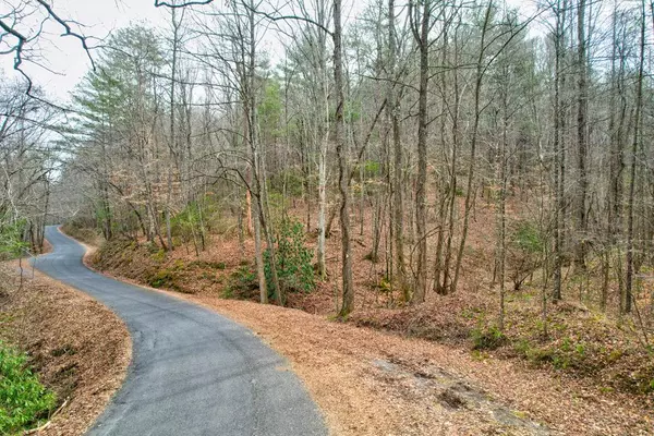 TR 6 Old Bucktown Road, Ellijay, GA 30536