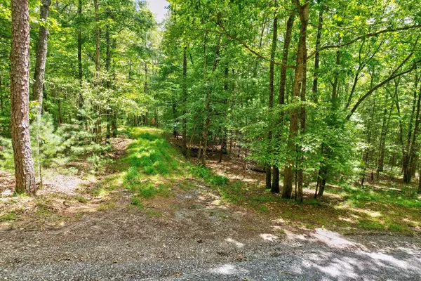 Blue Ridge, GA 30513,2.06 AC River Ridge Lane