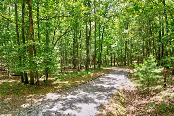 Blue Ridge, GA 30513,2.06 AC River Ridge Lane