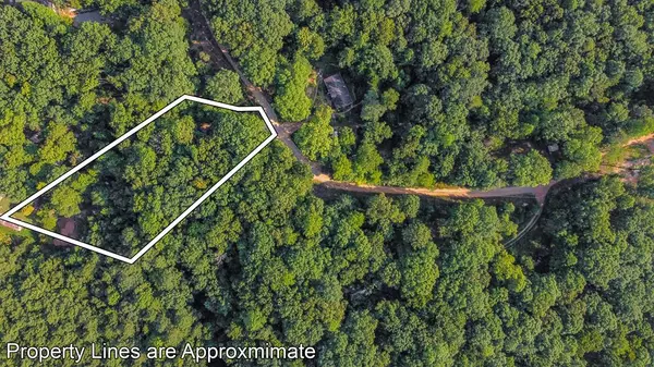 Ellijay, GA 30540,lot 6 Mission Hill Road