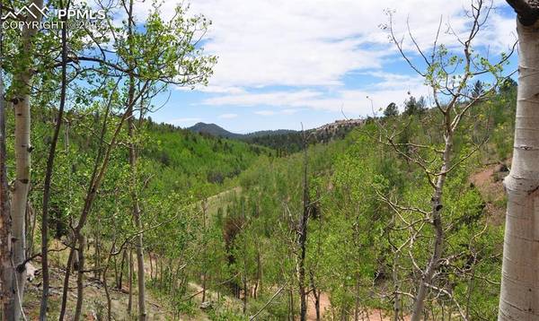 2033 Golden Cycle CIR, Cripple Creek, CO 80813