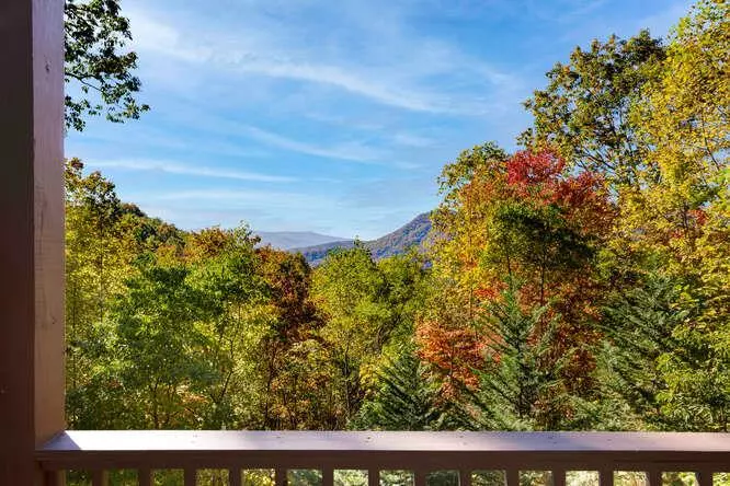 Hiawassee, GA 30546,7031 Black Bear Trail