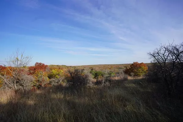 Comanche, TX 76442,TBD 24.59 Highway 36