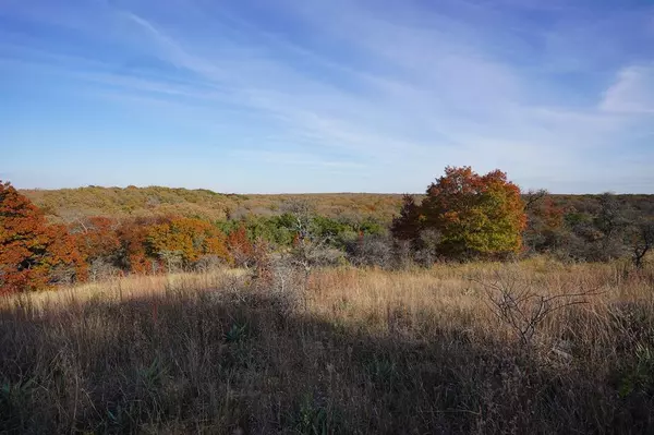 Comanche, TX 76442,TBD 24.59 Highway 36