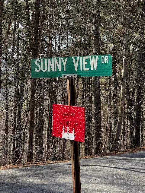 Blairsville, GA 30512,Lot 54 Sunny View Drive