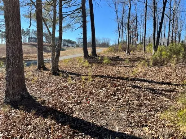 LOT 5 High River, Ellijay, GA 30540