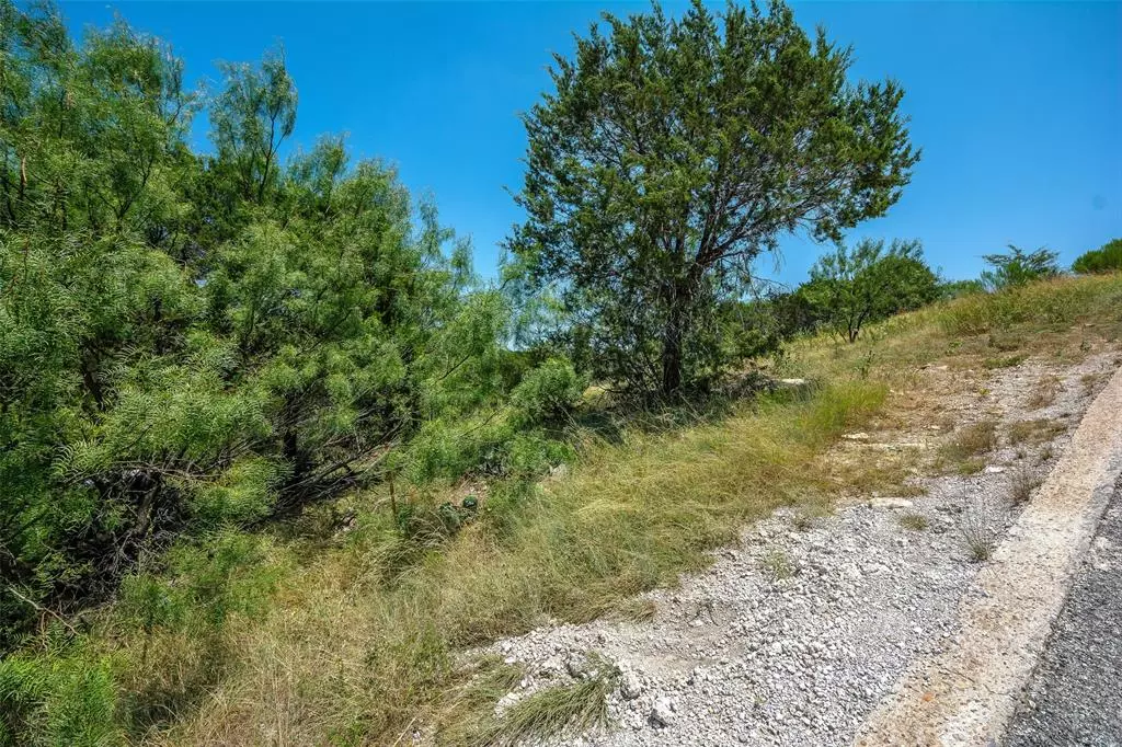 Possum Kingdom Lake, TX 76449,TDB Broadmoor Court