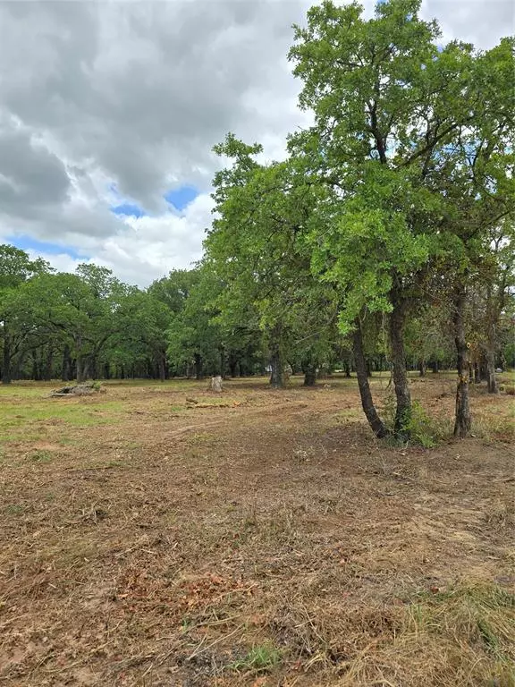 Bridgeport, TX 76073,1975 Sunflower Road #Lot 1