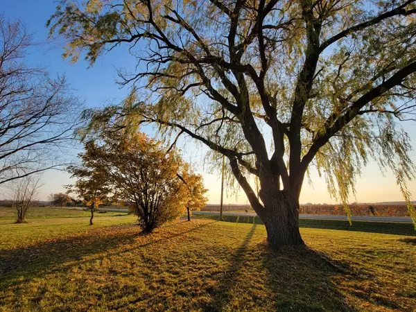 Niagara-on-the-lake, ON L0S 1J0,743 Concession 6 RD