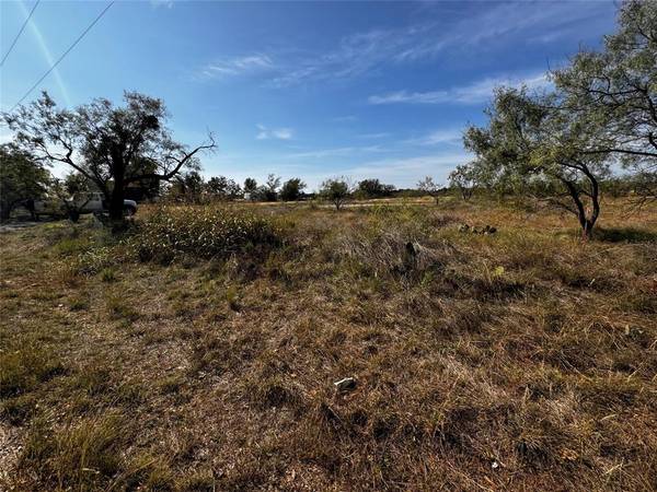 Brownwood, TX 76801,TBD County Road 456