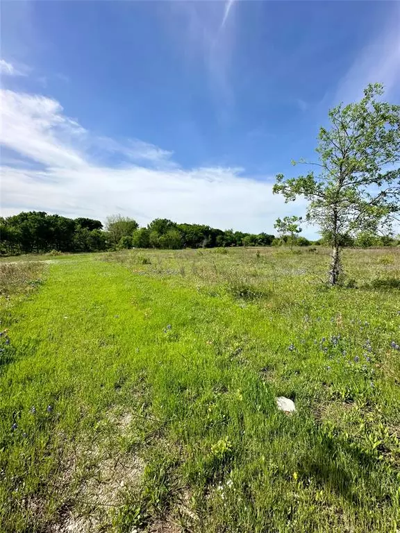 Itasca, TX 76055,35 Longview Creek Trail