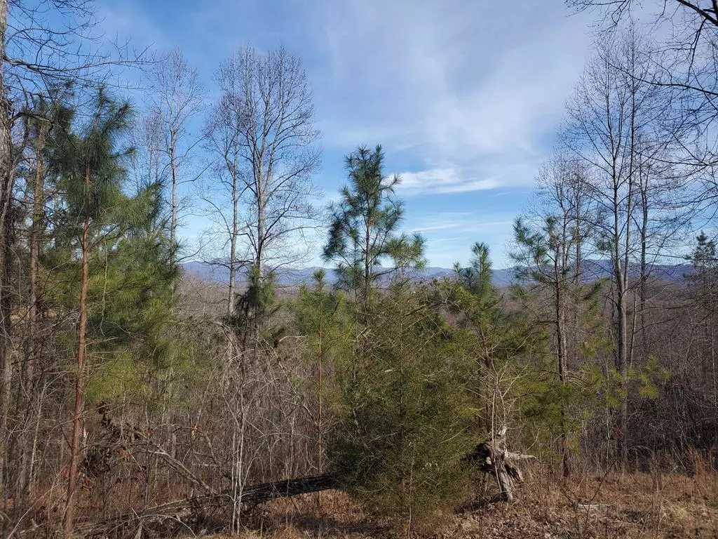 Young Harris, GA 30582,lot 25 Meadow Brooke