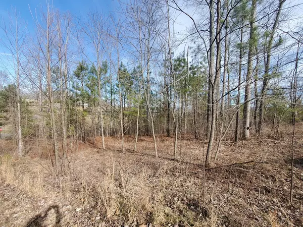 Young Harris, GA 30582,lot 25 Meadow Brooke