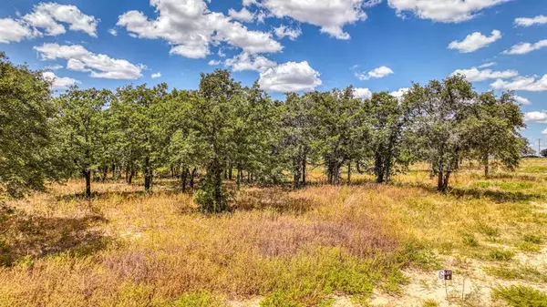 Lot 4 Sedona Creek Court, Poolville, TX 76487