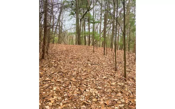 LOT 7 Brushy Top Drive, Ellijay, GA 30705