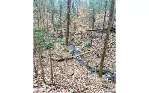 Ellijay, GA 30705,LOT 7 Brushy Top Drive