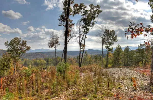 Lot 22 Mountain Laurel Ridge, Mineral Bluff, GA 30559