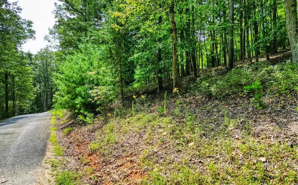 Blairsville, GA 30512,LOT 6 Sheep Stomp Road