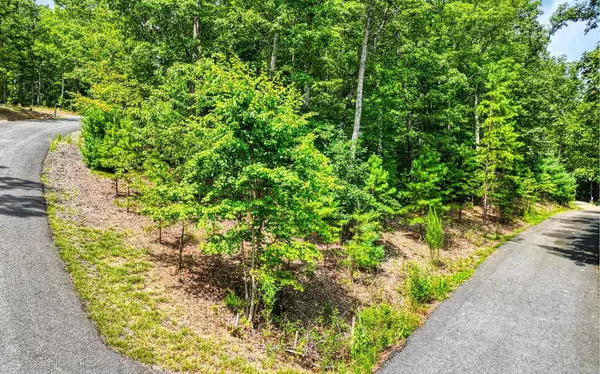 Blairsville, GA 30512,LOT 6 Sheep Stomp Road