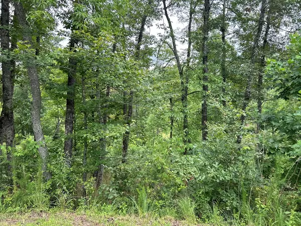 Mineral Bluff, GA 30559,Lot 195 Trails End Way