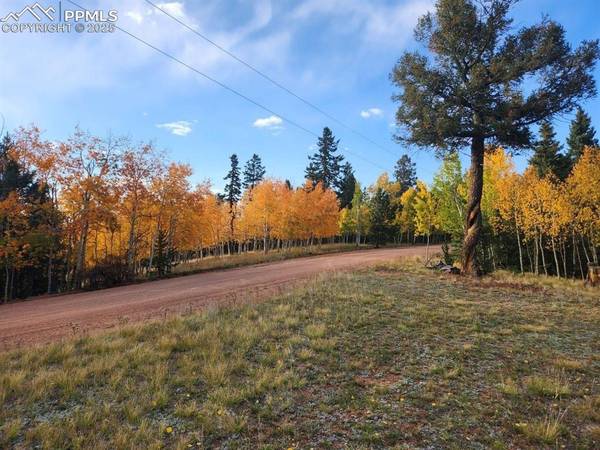 2652 YORKTOWN RD, Cripple Creek, CO 80813