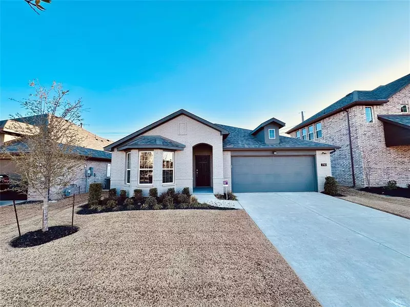 710 Rain Barrel Place, Weston, TX 75009