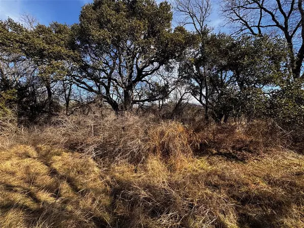 Hico, TX 76457,TBD County Road 2480