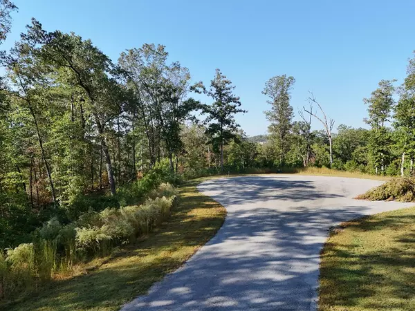 Ellijay, GA 30540,Lot 54 High River Landing