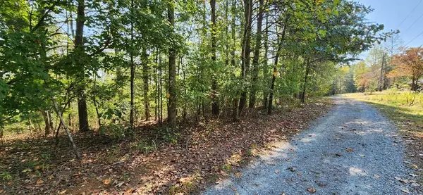 Lot 1699 Shade Tree Drive, Talking Rock, GA 30175