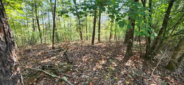 Talking Rock, GA 30175,Lot 1699 Shade Tree Drive