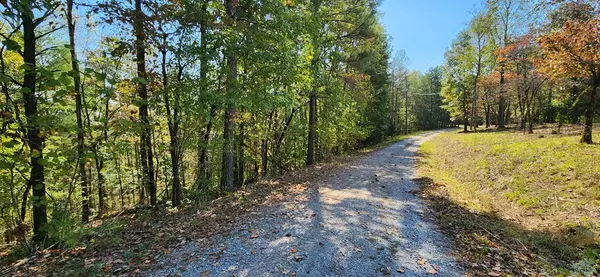 Talking Rock, GA 30175,Lot 1699 Shade Tree Drive