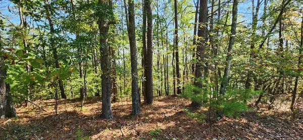 Talking Rock, GA 30175,Lot 1699 Shade Tree Drive