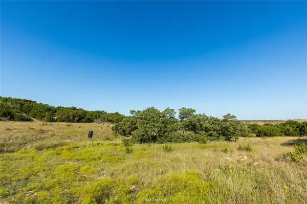 Sweetwater, TX 79556,000 FM 2035