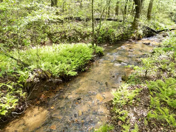 Talking Rock, GA 30175,160 Shallow Water Trail