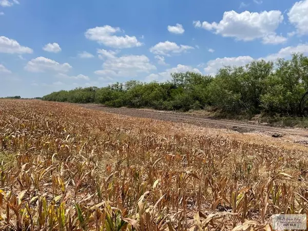 San Benito, TX 78586,28.3 Acres VASQUEZ RD.