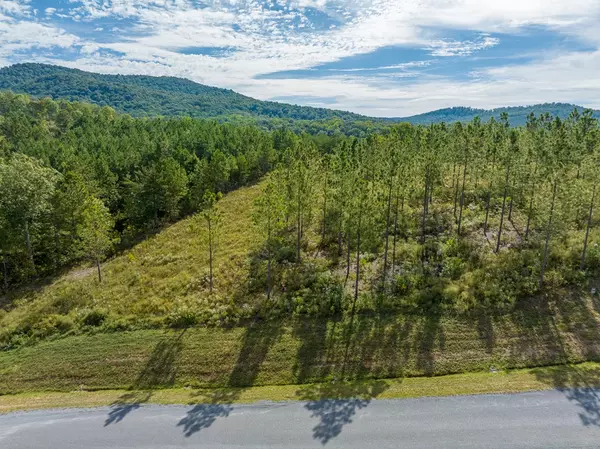 Talking Rock, GA 30175,Lot 299 Twisted Oak Road