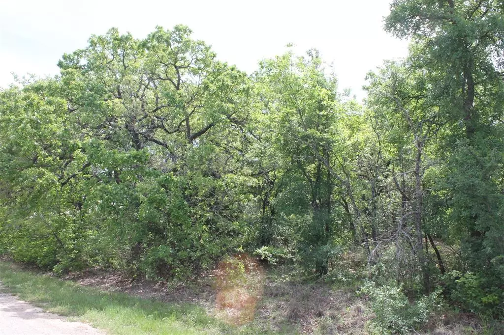 Runaway Bay, TX 76426,Lot 14 Jim Walters Drive