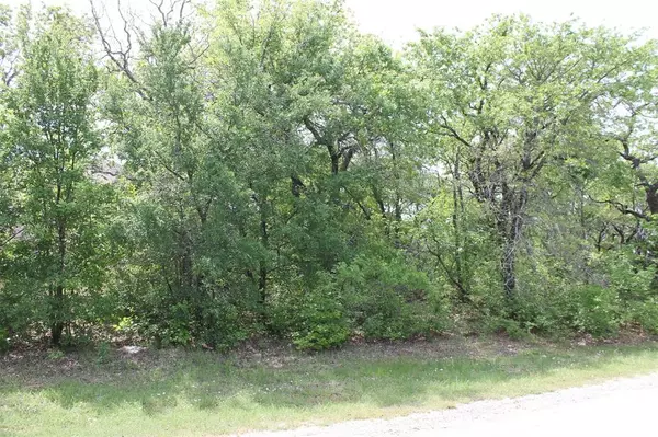 Runaway Bay, TX 76426,Lot 14 Jim Walters Drive