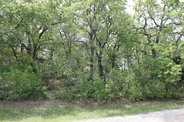 Runaway Bay, TX 76426,Lot 14 Jim Walters Drive