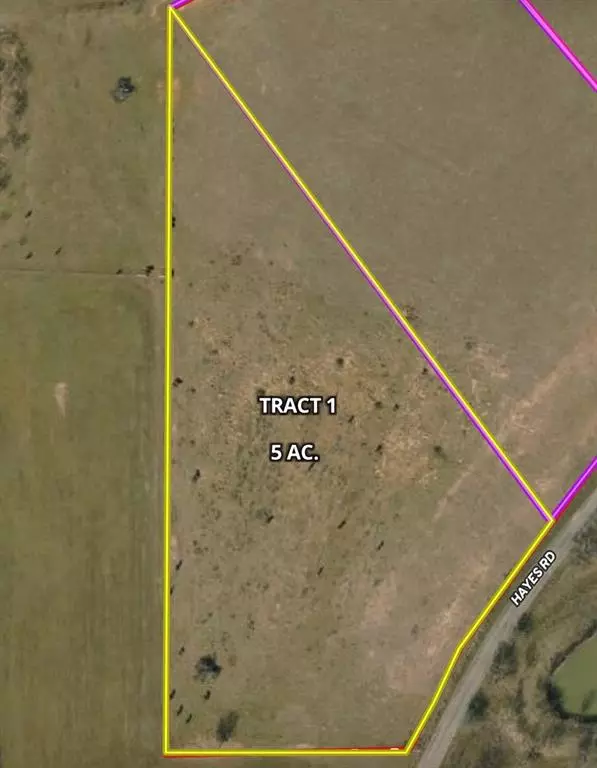 Mineral Wells, TX 76067,TBD Tract 1 Hayes Road