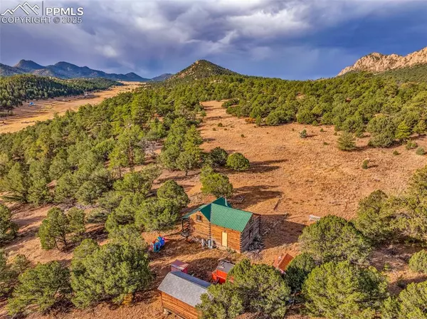 Westcliffe, CO 81252,599 Ferris DR